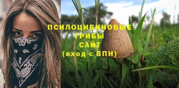 ALPHA-PVP Богородск