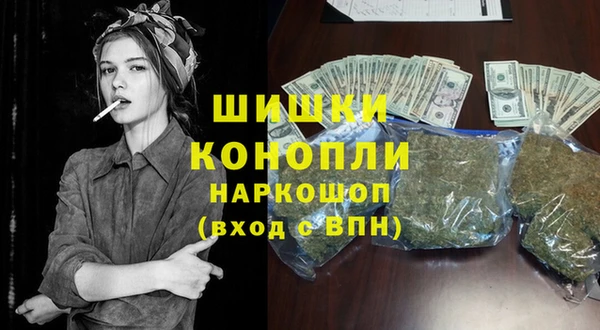 бошки Бронницы