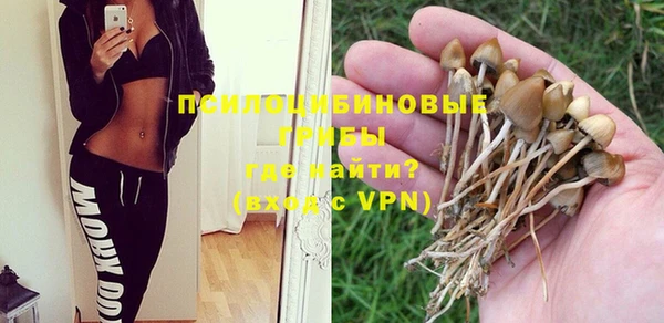 бошки Бронницы