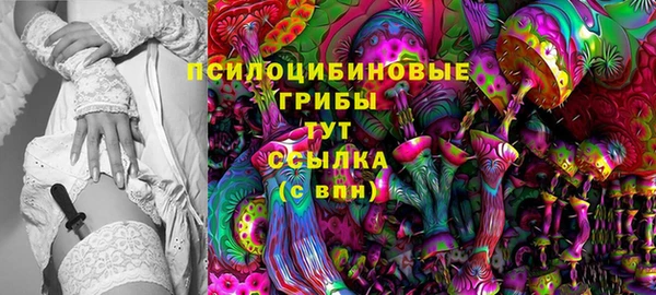 индика Верхнеуральск